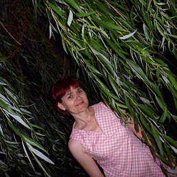 ���� �����, ��������, 59 ��� - ��������� 10 ������ 2012