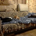 ���� ��������(����), ���������, 75 ��� - ��������� 29 �������� 2011 � ������ ���� ����������