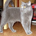 ���� �����, ������, 44 ���� - ��������� 5 ������ 2011 � ������ ���� ������� �������