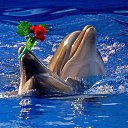 ���� Madam, �����-��������� - ��������� 15 ������ 2013 � ������ ���� ����������