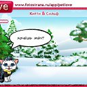 ���� ����, ������ - ��������� 5 ������ 2011 � ������ �PetLove�