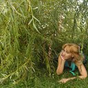 ���� �������, ������, 54 ���� - ��������� 10 ������ 2012 � ������ ���� ����������