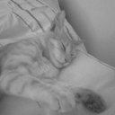 ���� Gennadii, ������� - ��������� 7 �������� 2012 � ������ �������