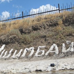 ���� �����, ���, 42 ���� - ��������� 13 ������ 2012