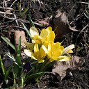 ���� Toryst, �����-���������, 53 ���� - ��������� 18 ����� 2010 � ������ ������������