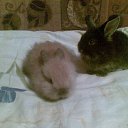 ���� �����, �����-���������, 50 ��� - ��������� 15 ������ 2010 � ������ ���������.�