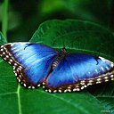 ���� ������, ������, 68 ��� - ��������� 15 ������ 2012 � ������ �������Ȼ