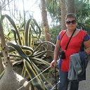 ���� ������, ���������������, 67 ��� - ��������� 20 ������� 2011 � ������ ���� ����������