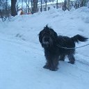 ���� �����, ��������, 52 ���� - ��������� 15 ��� 2013 � ������ ���� ����������