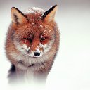 ���� ����, ���������, 31 ��� - ��������� 6 �������� 2012 � ������ ���� ����������