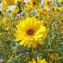 ���� ����, ������, 29 ��� - ��������� 25 ������� 2011 � ������ �������