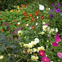 ���� �����, ������ - ��������� 9 ����� 2010 � ������ ���� ������