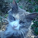  , -, 40  -  16  2011     