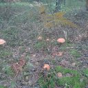 ���� ������, ������, 56 ��� - ��������� 21 �������� 2012 � ������ �������