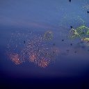 ���� ��������, �����-��������� - ��������� 31 ������ 2012 � ������ �9 ��� 2011 ��� ���� ������������ � ��������