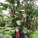  Valeria, , 70  -  4  2013    