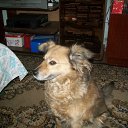 ������ ��� �������)...����������* ������� ))) �� ������� ���� ����������