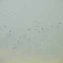 � ��� - ���� �������.