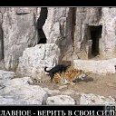 ���� Palmel, ��������, 47 ��� - ��������� 7 ������� 2009 � ������ ���������