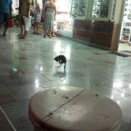 ���� ������, ������, 45 ��� - ��������� 17 ���� 2012