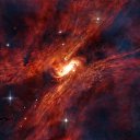 ���� ����������, ���������, 65 ��� - ��������� 6 ������� 2011 � ������ ���� �������