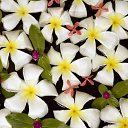 ���� ����� - ���������� ��������!!!, �����������, 56 ��� - ��������� 4 ������ 2010 � ������ �����ۻ