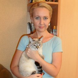 ���� �������, ��������, 48 ��� - ��������� 29 ������� 2012