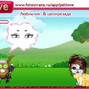 , , 24  -  12  2010   PetLove