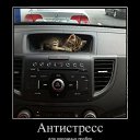 ���� T�����, ������, 63 ���� - ��������� 23 ������� 2012 � ������ �������