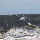 ���� �����, ������������ - ��������� 21 �������� 2011 � ������ �������