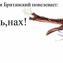 ���� Kameliya-tyan ^-^, ������, 50 ��� - ��������� 14 ������ 2012 � ������ �������� ^^�