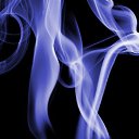  ,  -  13  2010   ____