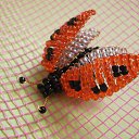 ���� ����, ��������, 36 ��� - ��������� 18 ��� 2011 � ������ ���� ������ �� ������