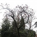 ���� Lana, �����-���������, 47 ��� - ��������� 15 ������� 2010 � ������ ���������