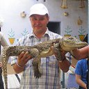 ���� ������, �����-���������, 43 ���� - ��������� 3 ��� 2010 � ������ ���� ����������