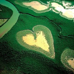 ���� Alex, ������, 36 ��� - ��������� 6 ������ 2012