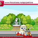  , , 63  -  31  2010   PetLove