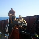���� ����, ��������, 50 ��� - ��������� 8 ������ 2012 � ������ ���� ����������