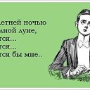 ���� ������, ������ - ��������� 24 ������ 2013 � ������ �������� ������, �����, ���������