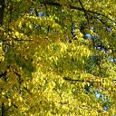 ���� Tatyana, �������, 50 ��� - ��������� 4 �������� 2009 � ������ �������