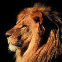 ���� Fara, ������, 44 ���� - ��������� 16 ������� 2011 � ������ ���� ����������