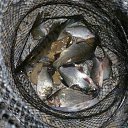 ���� ����, ���������, 61 ��� - ��������� 9 ������ 2012 � ������ ���� ����������