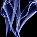  ,  -  13  2010   ____