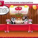    ,  -  9  2011   PetLove