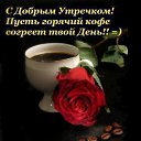  Aleksa , , 45  -  14  2009   