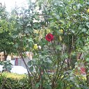 ���� � ������... �� ������� �������� � ������