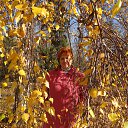 ���� ��������, ���� - ��������� 21 ������� 2012 � ������ �������