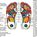 ���� ����, ��������, 56 ��� - ��������� 26 ������ 2013 � ������ ���� ����������