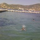  , --, 50  -  5  2009    