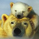 ���� �������, �������, 44 ���� - ��������� 19 ����� 2010 � ������ ������...�